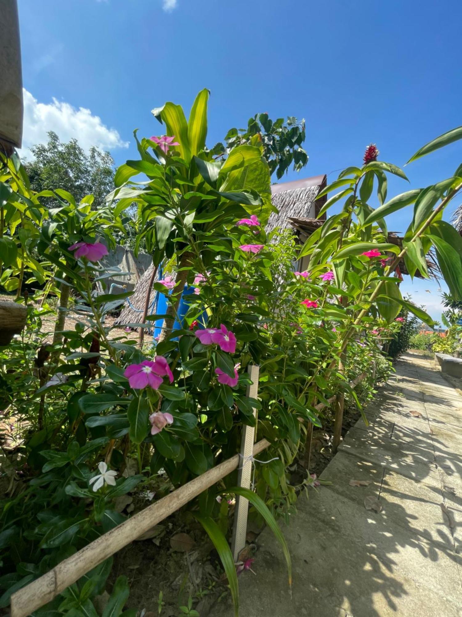 Phuketairportcamping 호텔 Ban Bo Sai Klang 외부 사진